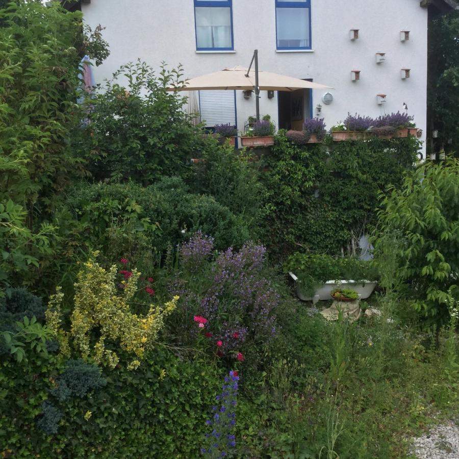 Ferienwohnung Hering In Dill Εξωτερικό φωτογραφία