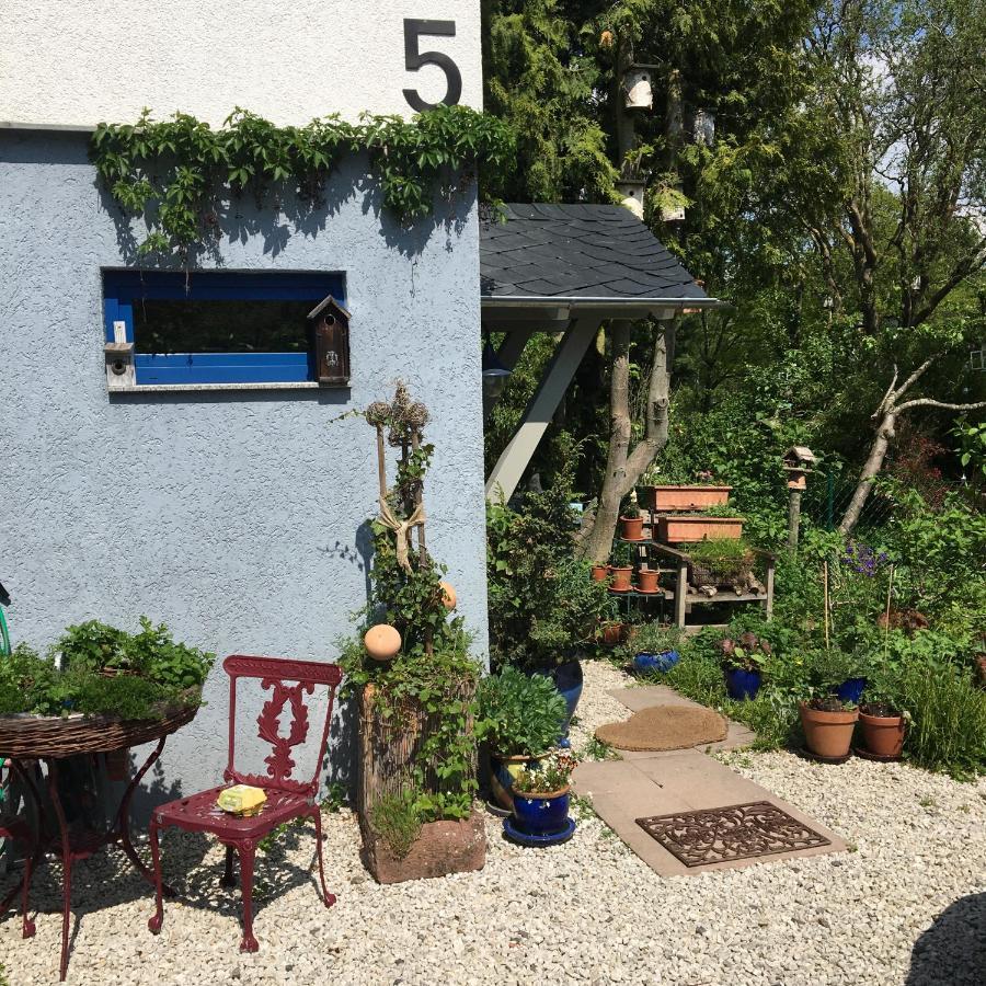 Ferienwohnung Hering In Dill Εξωτερικό φωτογραφία