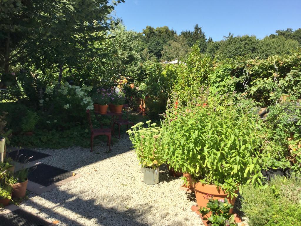 Ferienwohnung Hering In Dill Εξωτερικό φωτογραφία