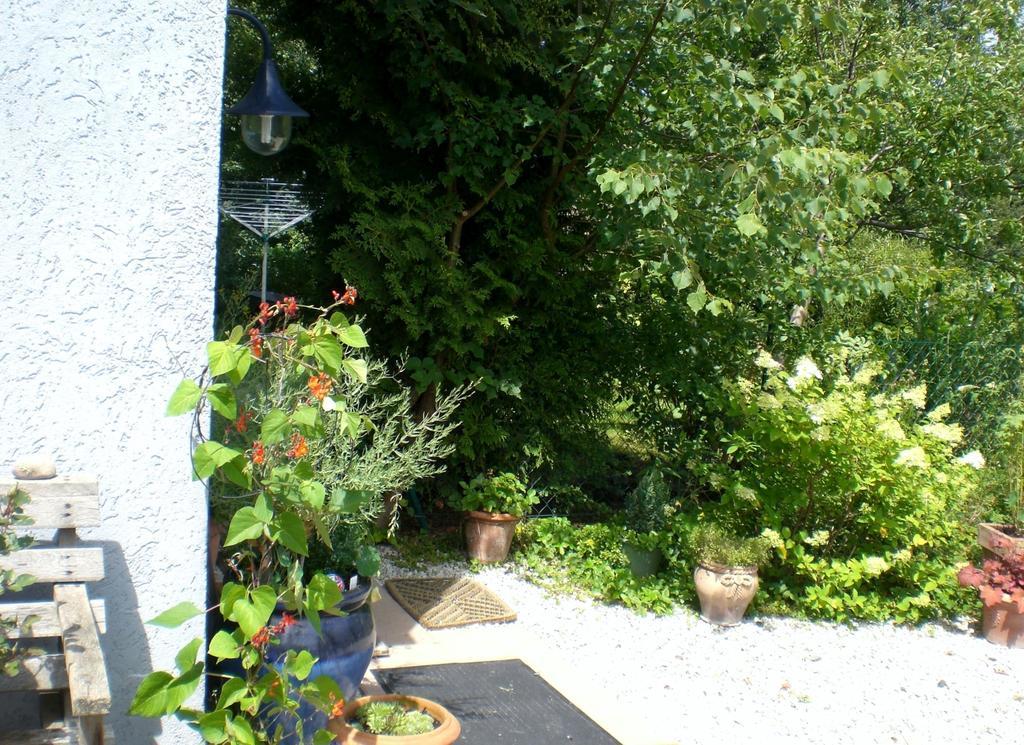 Ferienwohnung Hering In Dill Δωμάτιο φωτογραφία