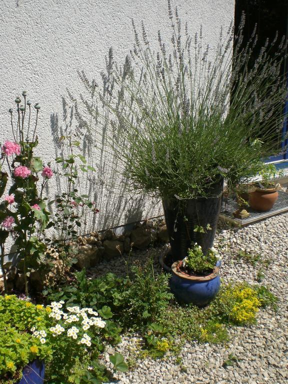 Ferienwohnung Hering In Dill Δωμάτιο φωτογραφία