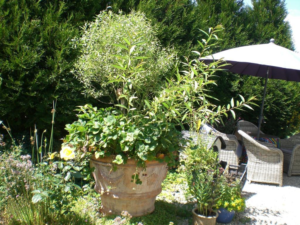 Ferienwohnung Hering In Dill Δωμάτιο φωτογραφία